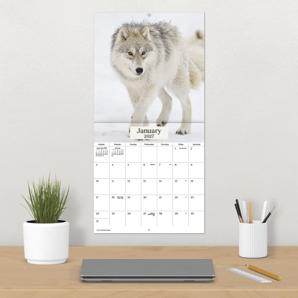 Wolves 2027 Wall Calendar Fourth Alternate Image