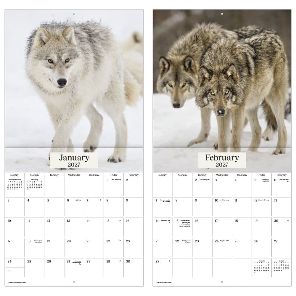 Wolves 2027 Wall Calendar Fifth Alternate Image