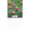 image Texas Wildflowers 2027 Wall Calendar First Alternate Image
