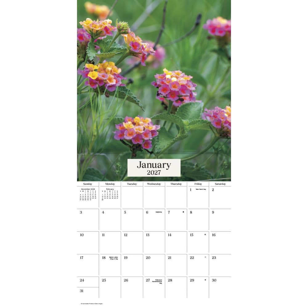 Texas Wildflowers 2027 Wall Calendar First Alternate Image