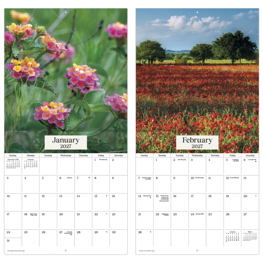 Texas Wildflowers 2027 Wall Calendar Fifth Alternate Image