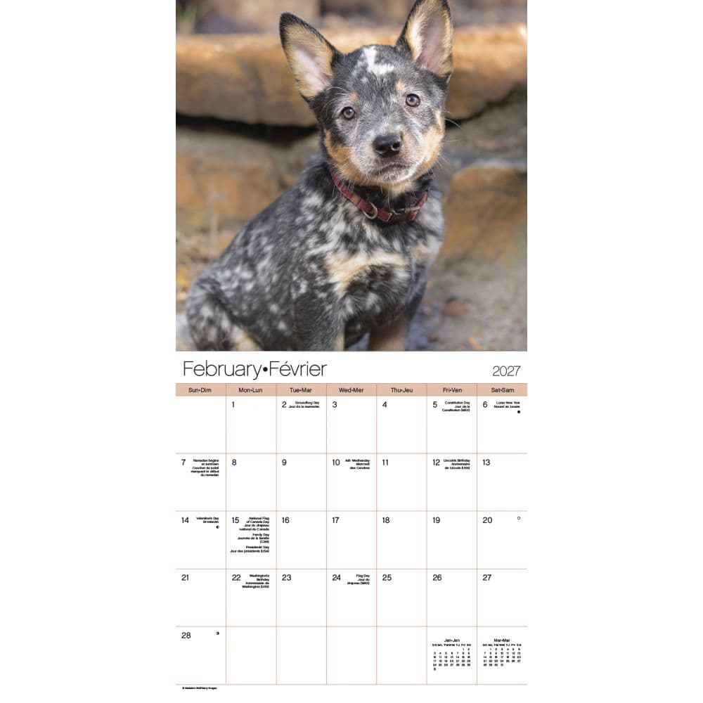 Puppies Bilingual French 2027 Wall Calendar Second Alternate Image