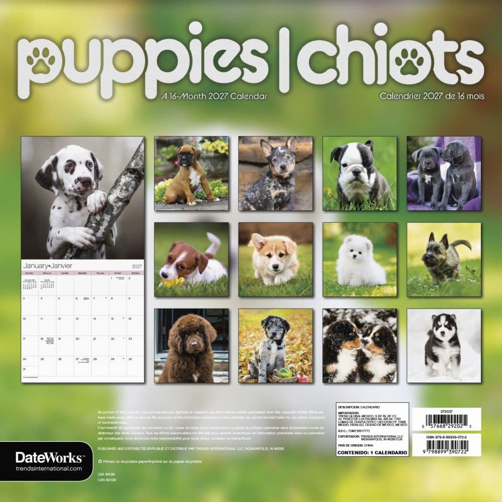Puppies Bilingual French 2027 Wall Calendar Third Alternate Image