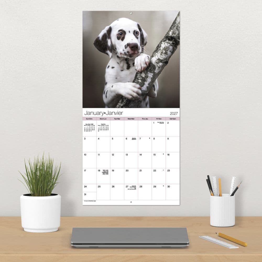 Puppies Bilingual French 2027 Wall Calendar Fourth Alternate Image
