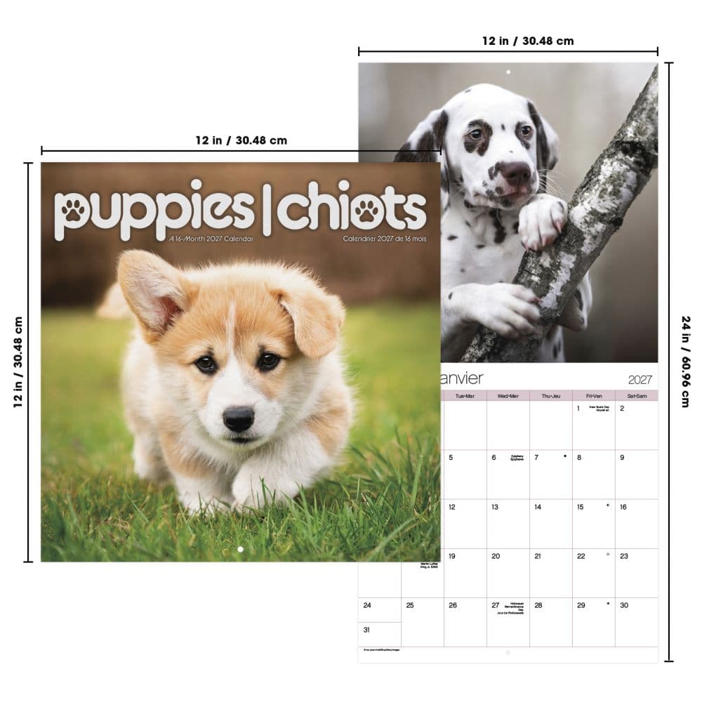 Puppies Bilingual French 2027 Wall Calendar Sixth Alternate Image