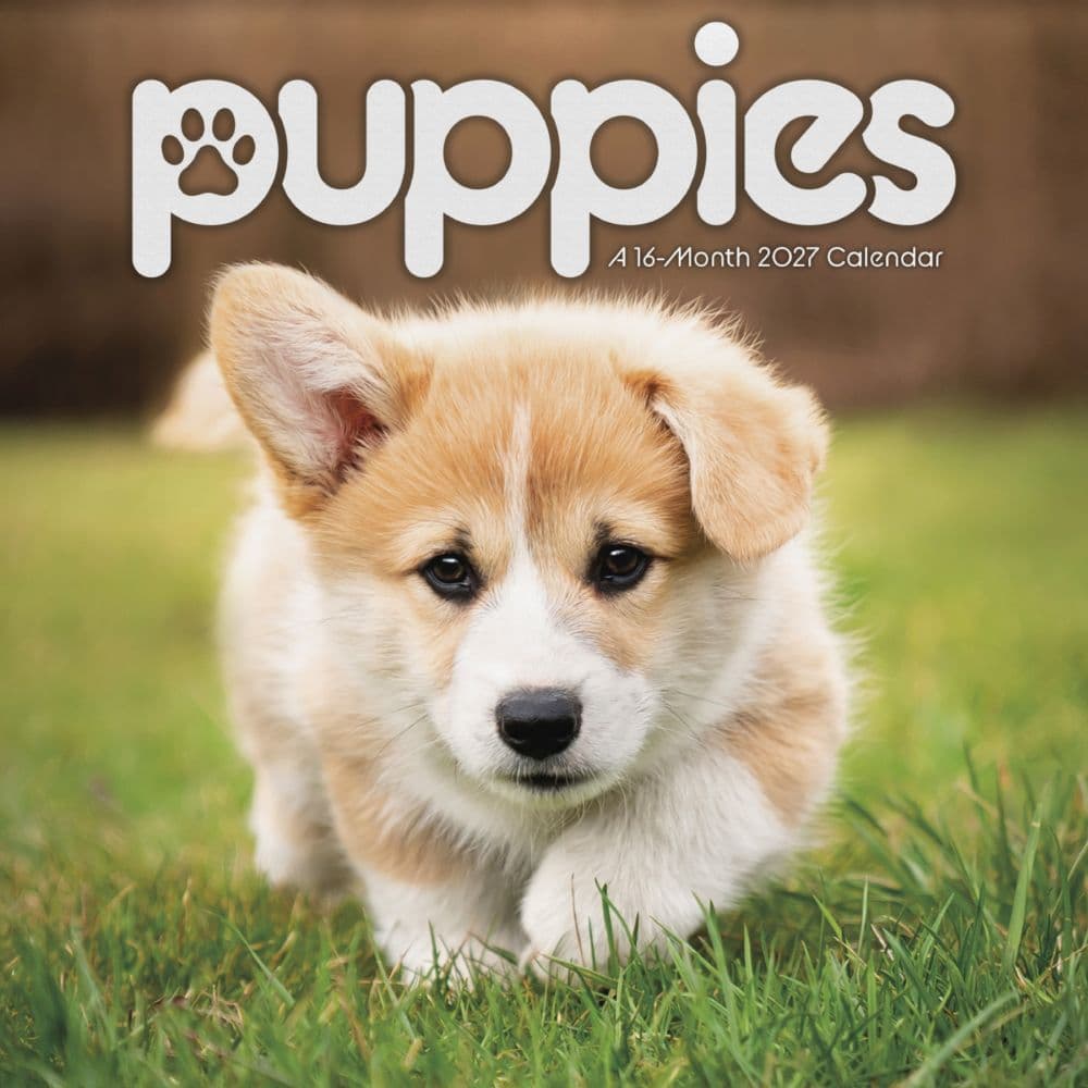 image Puppies 2027 Wall Calendar Main Product Image