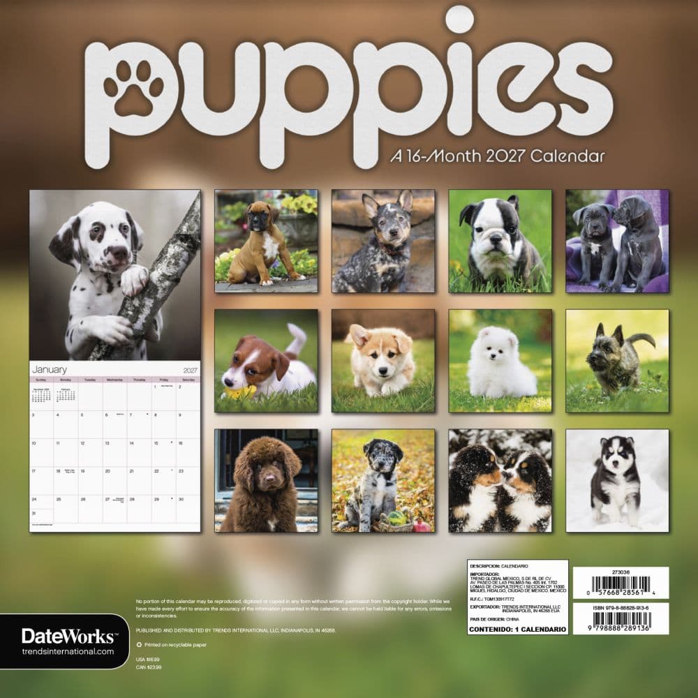Puppies 2027 Wall Calendar Third Alternate Image