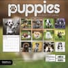image Puppies 2027 Wall Calendar Third Alternate Image
