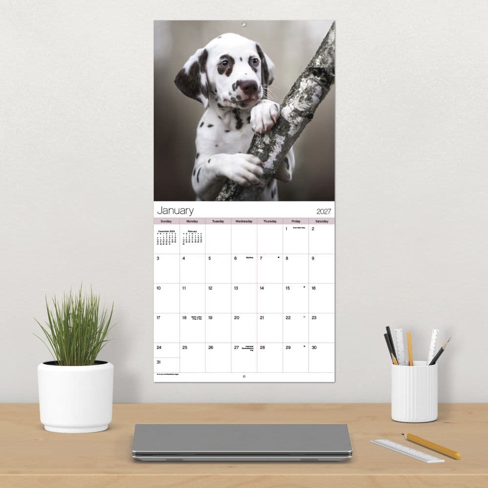 Puppies 2027 Wall Calendar Fourth Alternate Image