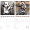 image Puppies 2027 Wall Calendar Fifth Alternate Image