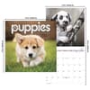 image Puppies 2027 Wall Calendar Sixth Alternate Image