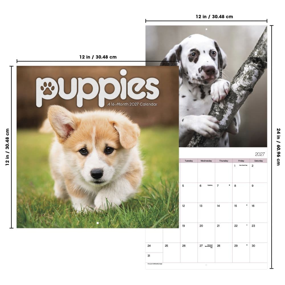 Puppies 2027 Wall Calendar Sixth Alternate Image