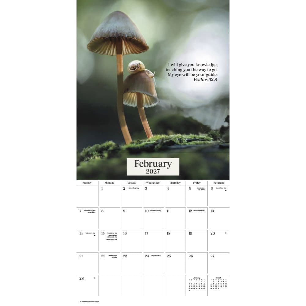 Psalms 2027 Wall Calendar Second Alternate Image