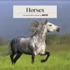 image Horses 2027 Wall Calendar Main Product Image