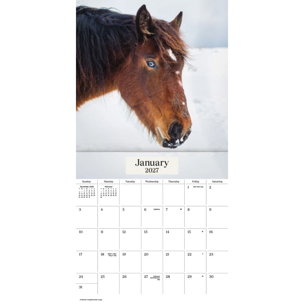 Horses 2027 Wall Calendar First Alternate Image
