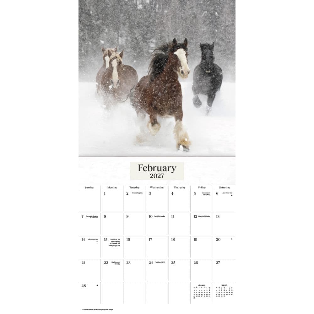 Horses 2027 Wall Calendar Second Alternate Image