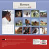 image Horses 2027 Wall Calendar Third Alternate Image