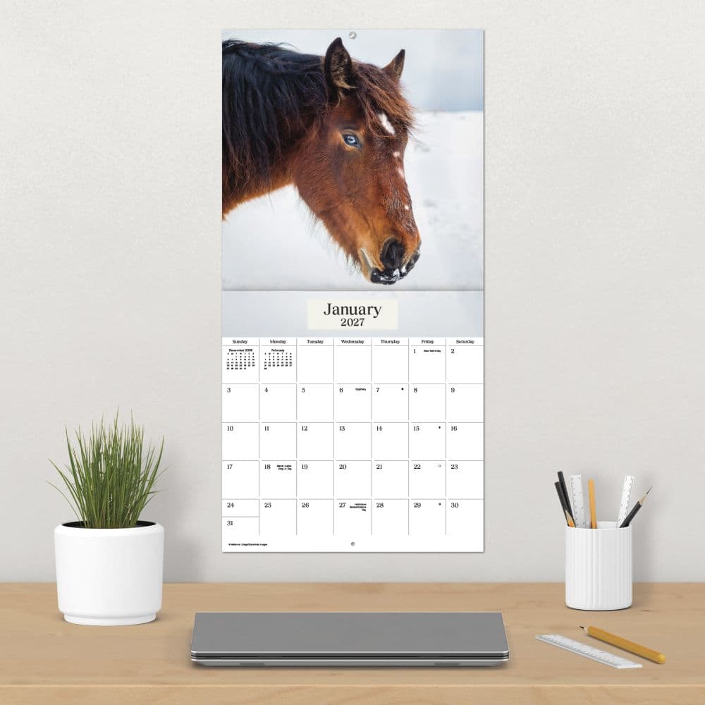 Horses 2027 Wall Calendar Fourth Alternate Image