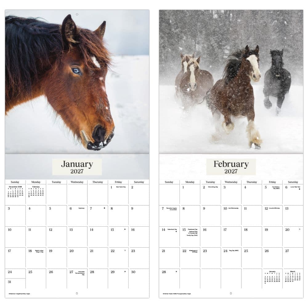 Horses 2027 Wall Calendar Fifth Alternate Image