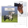 image Horses 2027 Wall Calendar Sixth Alternate Image