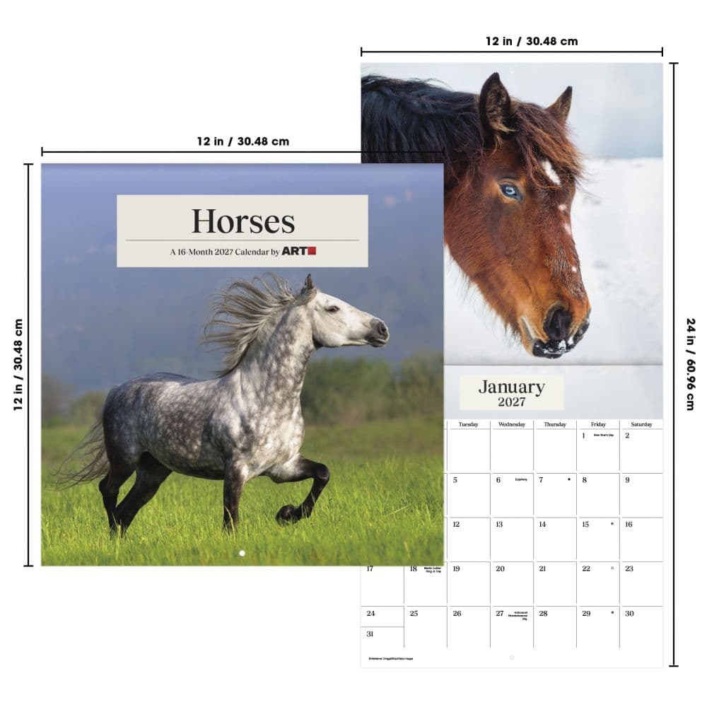 Horses 2027 Wall Calendar Sixth Alternate Image