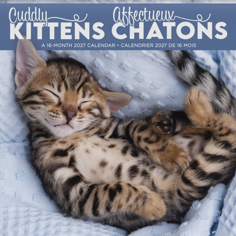 Cuddly Kittens Bilingual French 2027 Wall Calendar Main Product Image