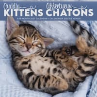 image Cuddly Kittens Bilingual French 2027 Wall Calendar Main Product Image