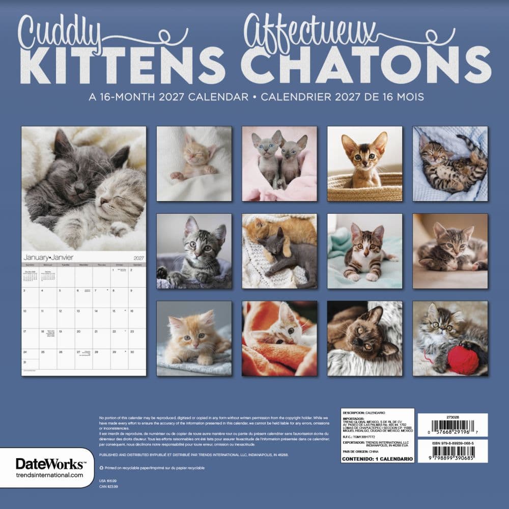 Cuddly Kittens Bilingual French 2027 Wall Calendar Third Alternate Image