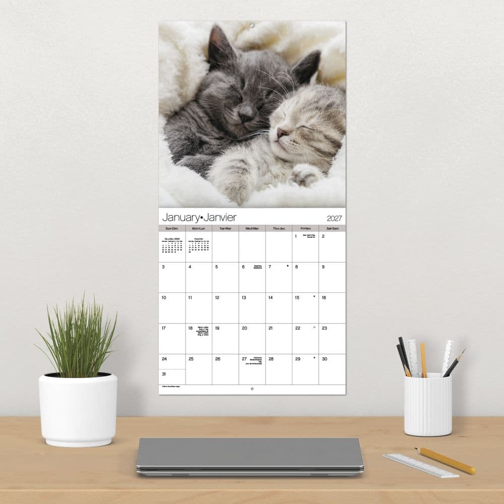 Cuddly Kittens Bilingual French 2027 Wall Calendar Fourth Alternate Image