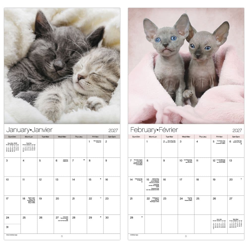 Cuddly Kittens Bilingual French 2027 Wall Calendar Fifth Alternate Image