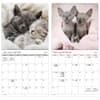 image Cuddly Kittens Bilingual French 2027 Wall Calendar Fifth Alternate Image