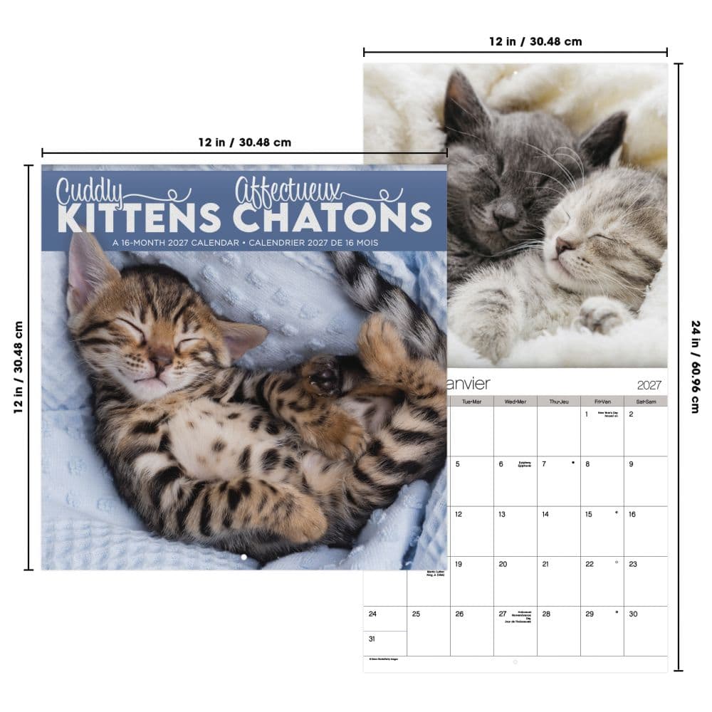 Cuddly Kittens Bilingual French 2027 Wall Calendar Sixth Alternate Image