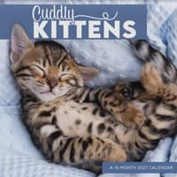 image Cuddly Kittens 2027 Wall Calendar Main Product Image