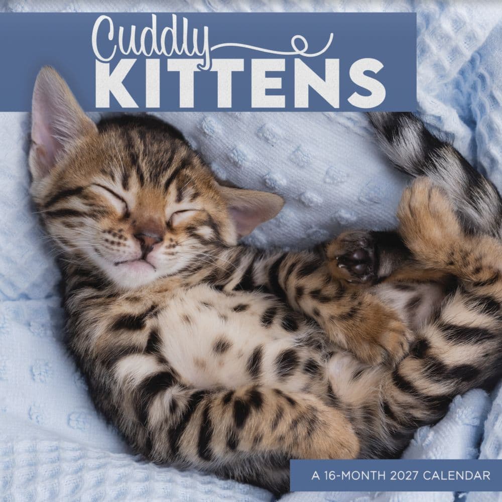image Cuddly Kittens 2027 Wall Calendar Main Product Image