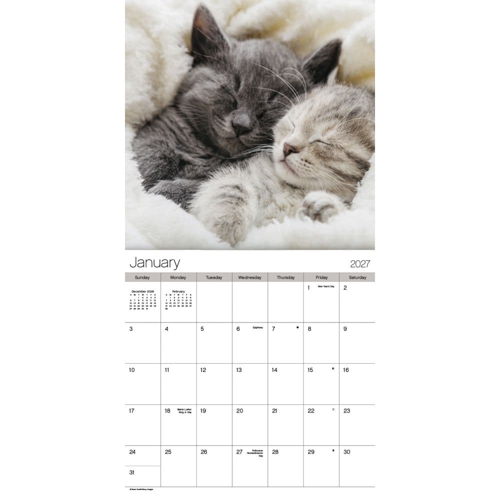 Cuddly Kittens 2027 Wall Calendar First Alternate Image