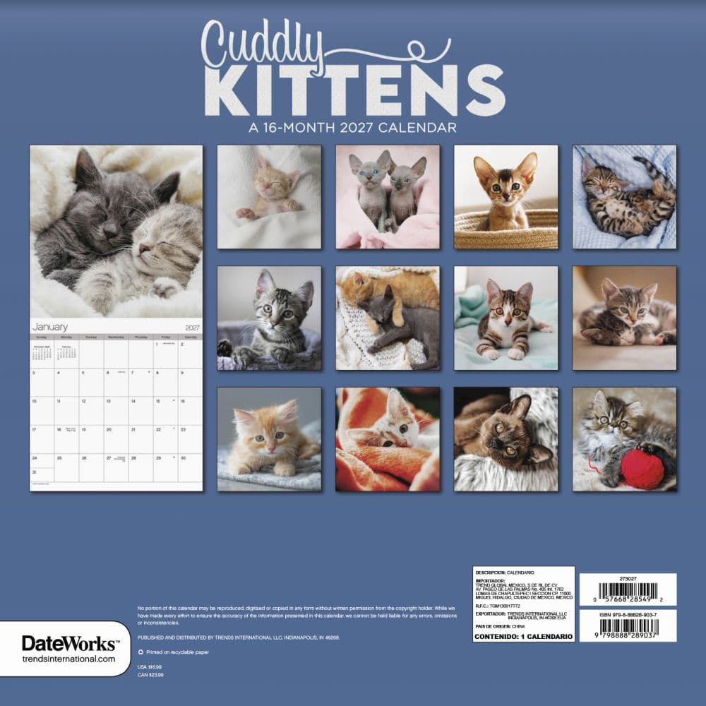 Cuddly Kittens 2027 Wall Calendar Third Alternate Image