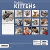 image Cuddly Kittens 2027 Wall Calendar Third Alternate Image