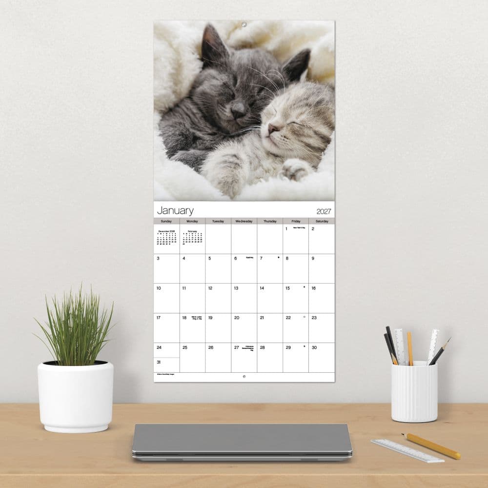 Cuddly Kittens 2027 Wall Calendar Fourth Alternate Image