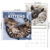 image Cuddly Kittens 2027 Wall Calendar Sixth Alternate Image