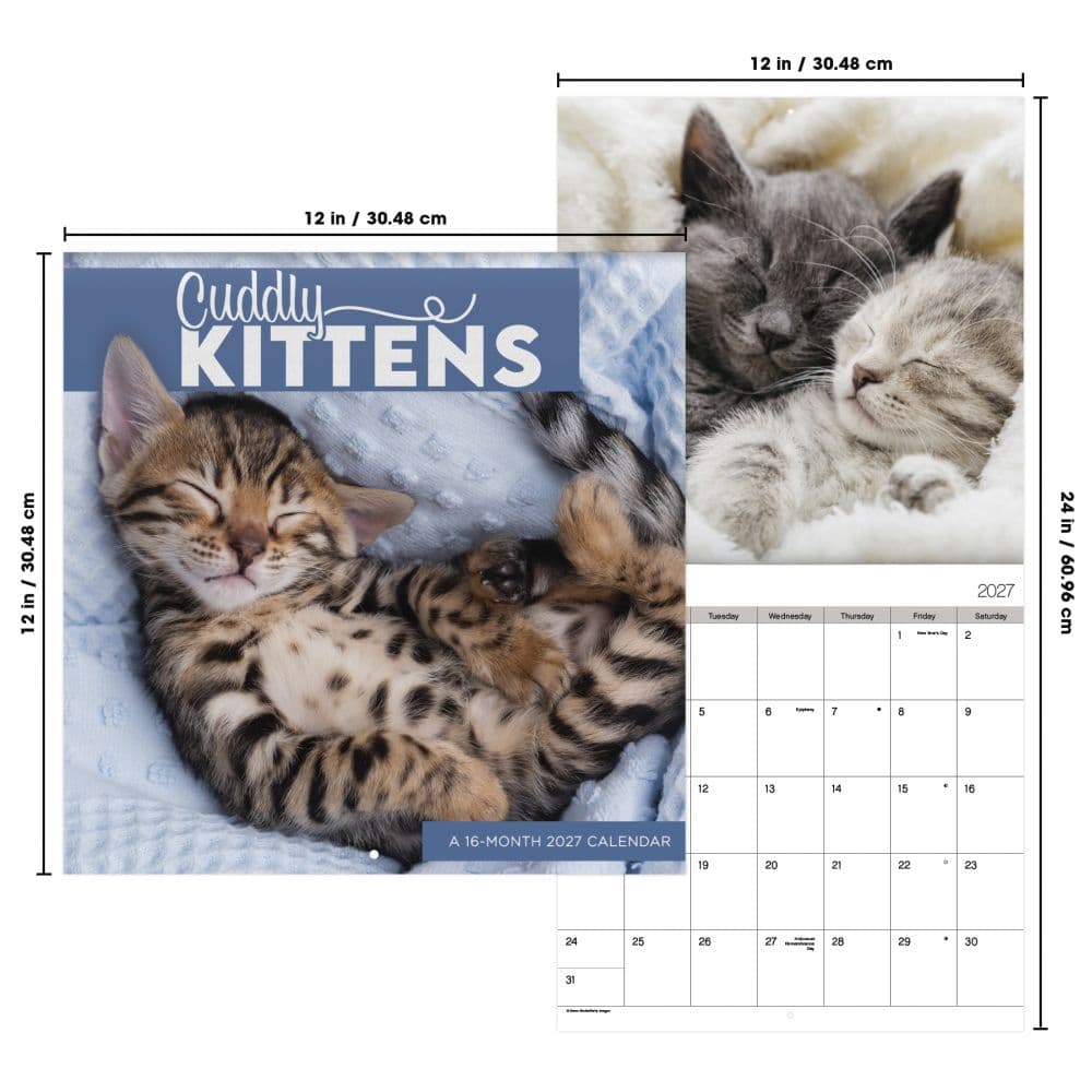 Cuddly Kittens 2027 Wall Calendar Sixth Alternate Image