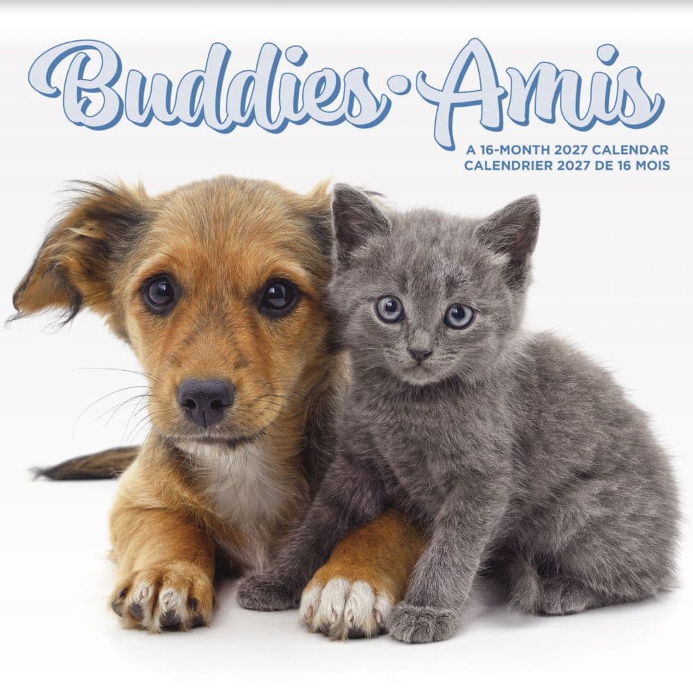 Buddies Bilingual French 2027 Wall Calendar Main Product Image