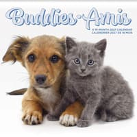 image Buddies Bilingual French 2027 Wall Calendar Main Product Image