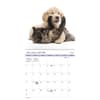 image Buddies Bilingual French 2027 Wall Calendar First Alternate Image