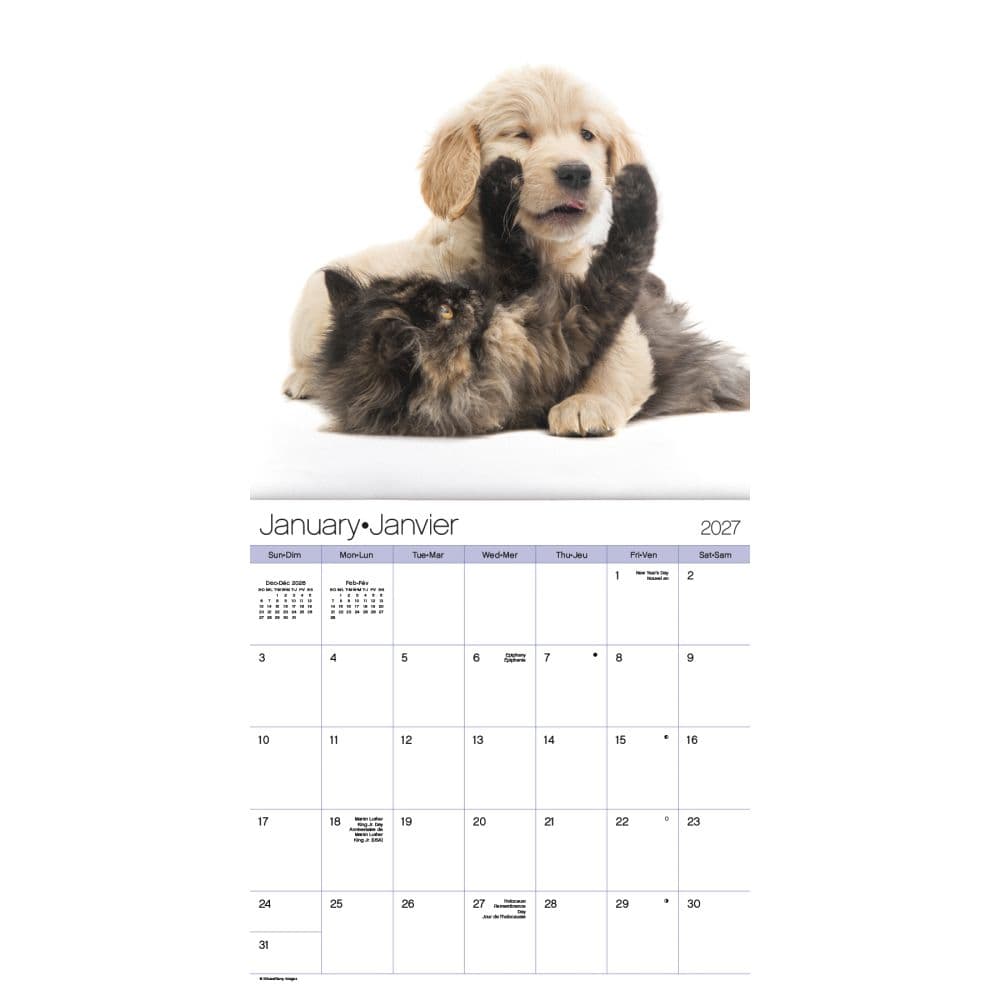 Buddies Bilingual French 2027 Wall Calendar First Alternate Image