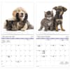 image Buddies Bilingual French 2027 Wall Calendar Fifth Alternate Image