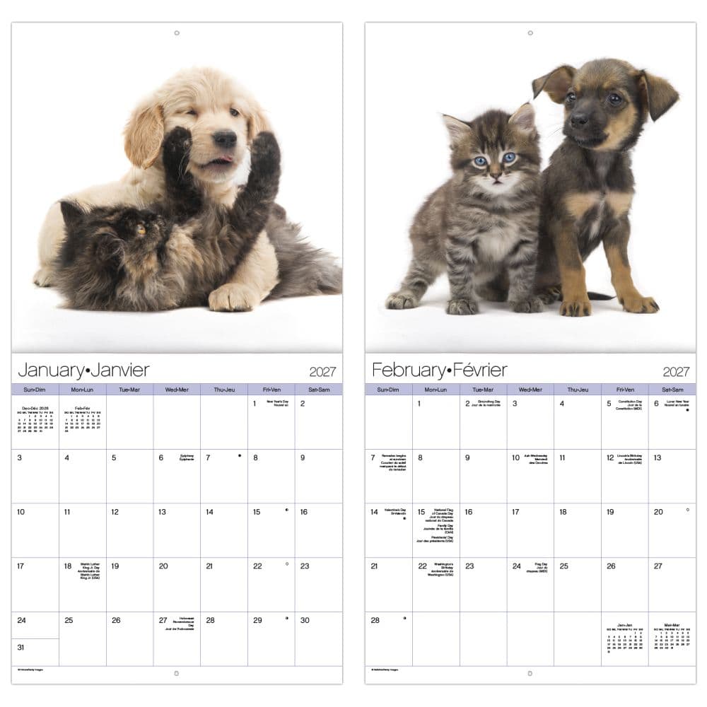 Buddies Bilingual French 2027 Wall Calendar Fifth Alternate Image