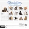 image Buddies 2027 Wall Calendar Third Alternate Image