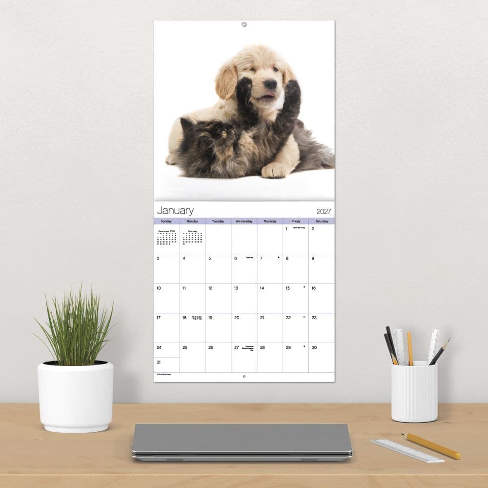 Buddies 2027 Wall Calendar Fourth Alternate Image