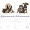 image Buddies 2027 Wall Calendar Fifth Alternate Image