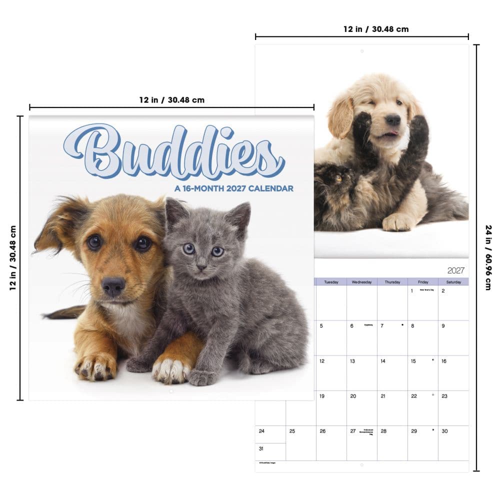 Buddies 2027 Wall Calendar Sixth Alternate Image